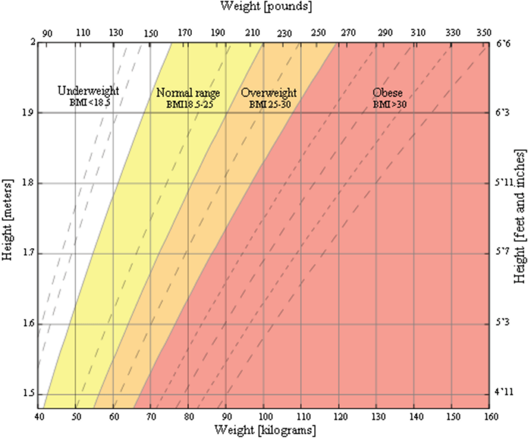 Body Mass Index Chart For Child